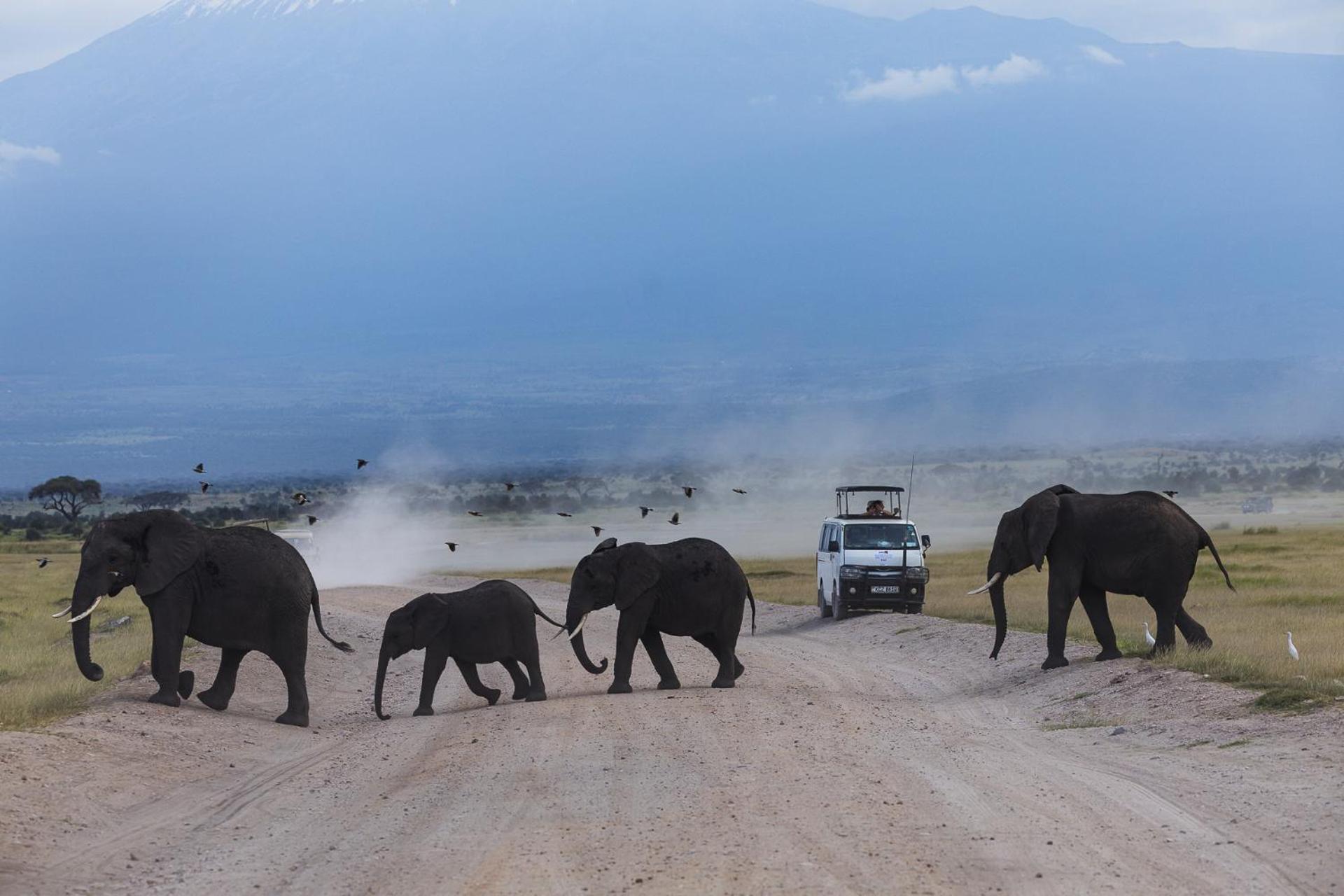 Amboseli Glass House Oloitokitok Exteriér fotografie