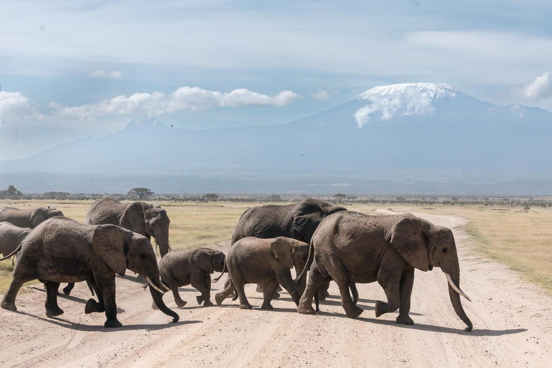 Amboseli Glass House Oloitokitok Exteriér fotografie